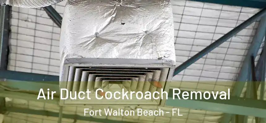  Air Duct Cockroach Removal Fort Walton Beach - FL