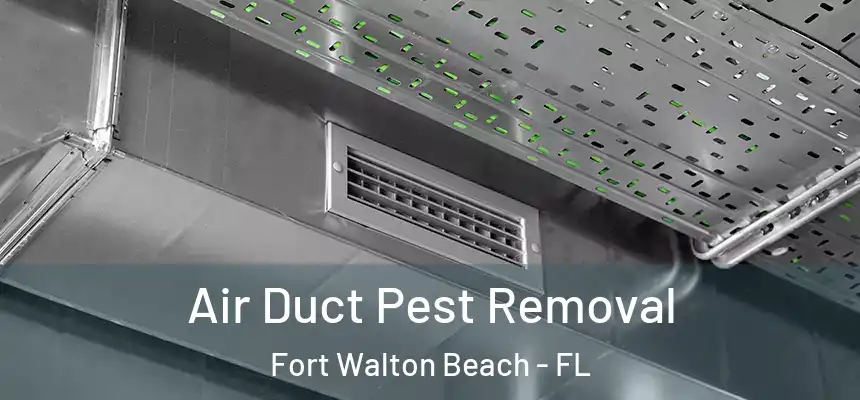  Air Duct Pest Removal Fort Walton Beach - FL