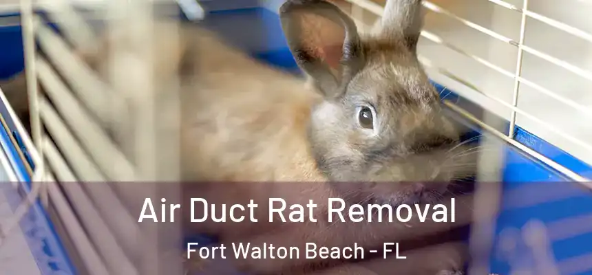  Air Duct Rat Removal Fort Walton Beach - FL