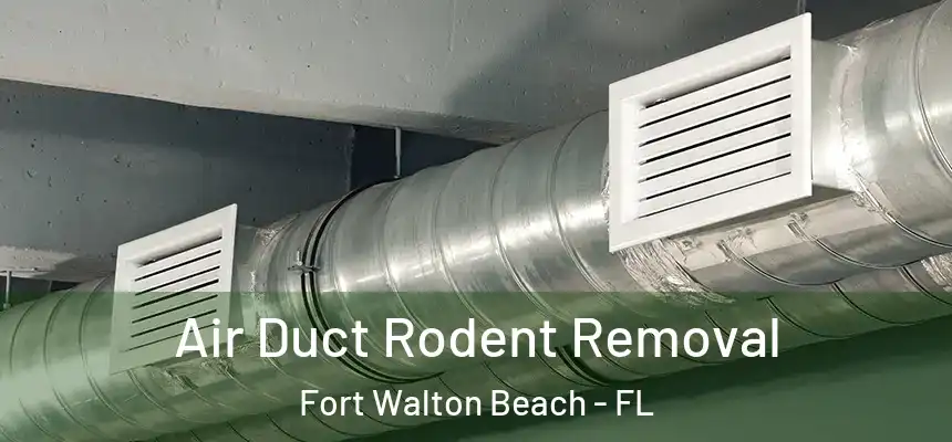  Air Duct Rodent Removal Fort Walton Beach - FL