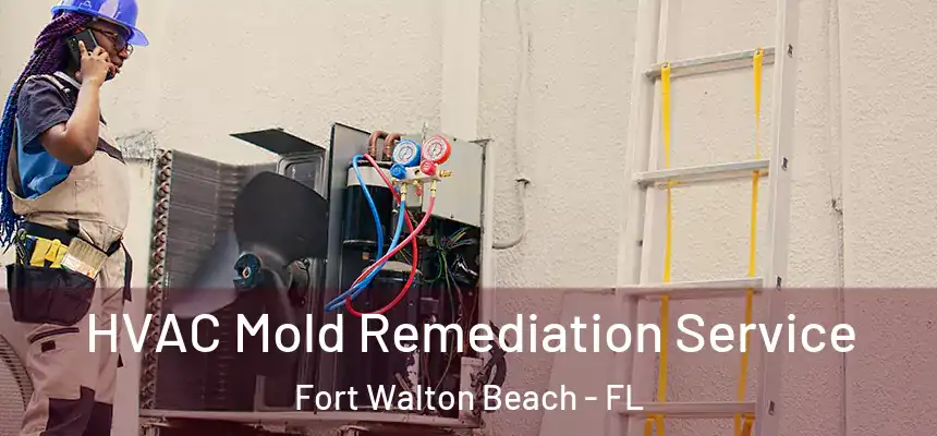 HVAC Mold Remediation Service Fort Walton Beach - FL