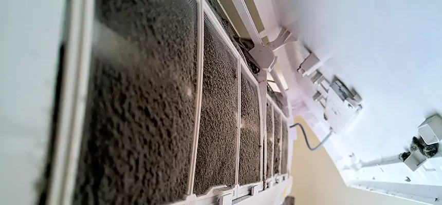 Preventive Air Duct Bacteria Removal in Fort Walton Beach