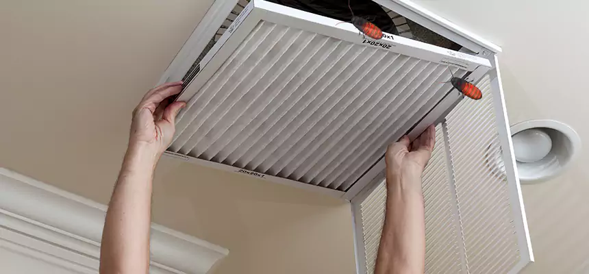 Our Insect Removal from Air Ducts Services in Fort Walton Beach, FL