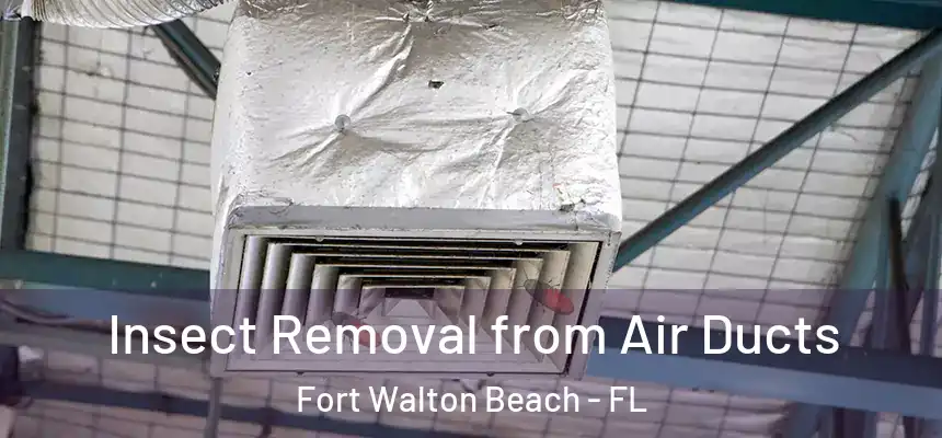 Insect Removal from Air Ducts Fort Walton Beach - FL