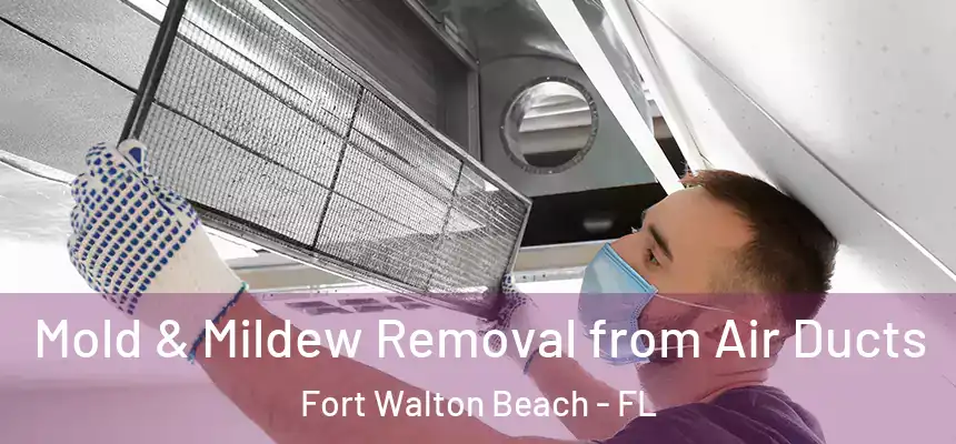 Mold & Mildew Removal from Air Ducts Fort Walton Beach - FL