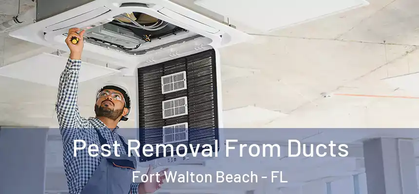 Pest Removal From Ducts Fort Walton Beach - FL
