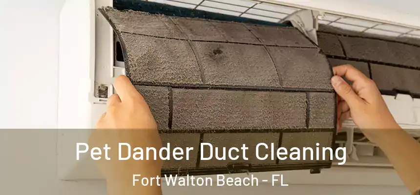 Pet Dander Duct Cleaning Fort Walton Beach - FL