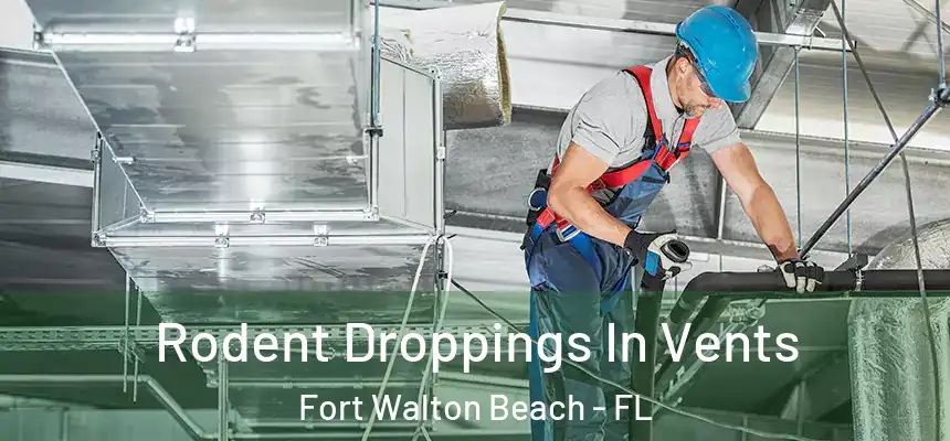 Rodent Droppings In Vents Fort Walton Beach - FL