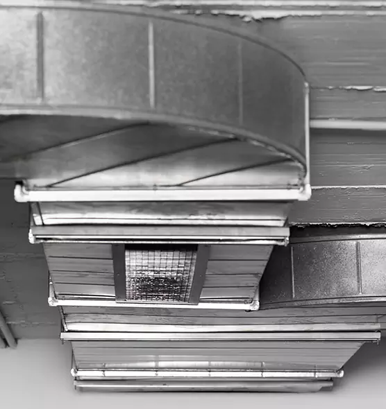 Professional Air Duct Pest Removal in Fort Walton Beach, FL