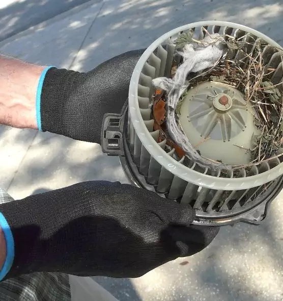 About Air Duct Rat Removal in Fort Walton Beach, FL