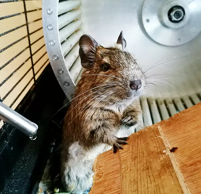 Why Homeowners & Businesses Trust Us Fort Walton Beach, FL