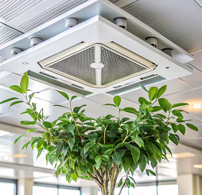 Why Homeowners & Businesses Trust Us in Fort Walton Beach, FL?