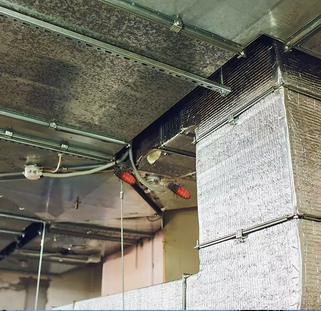 Why Homeowners & Businesses Trust Us Fort Walton Beach, FL?