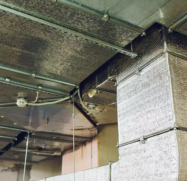 Why Homeowners & Businesses Trust Us in Fort Walton Beach, FL?